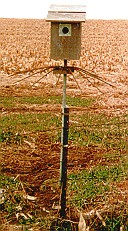 Raccoon guards on Bluebird houses